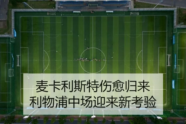 麦卡利斯特伤愈归来 利物浦中场迎来新考验